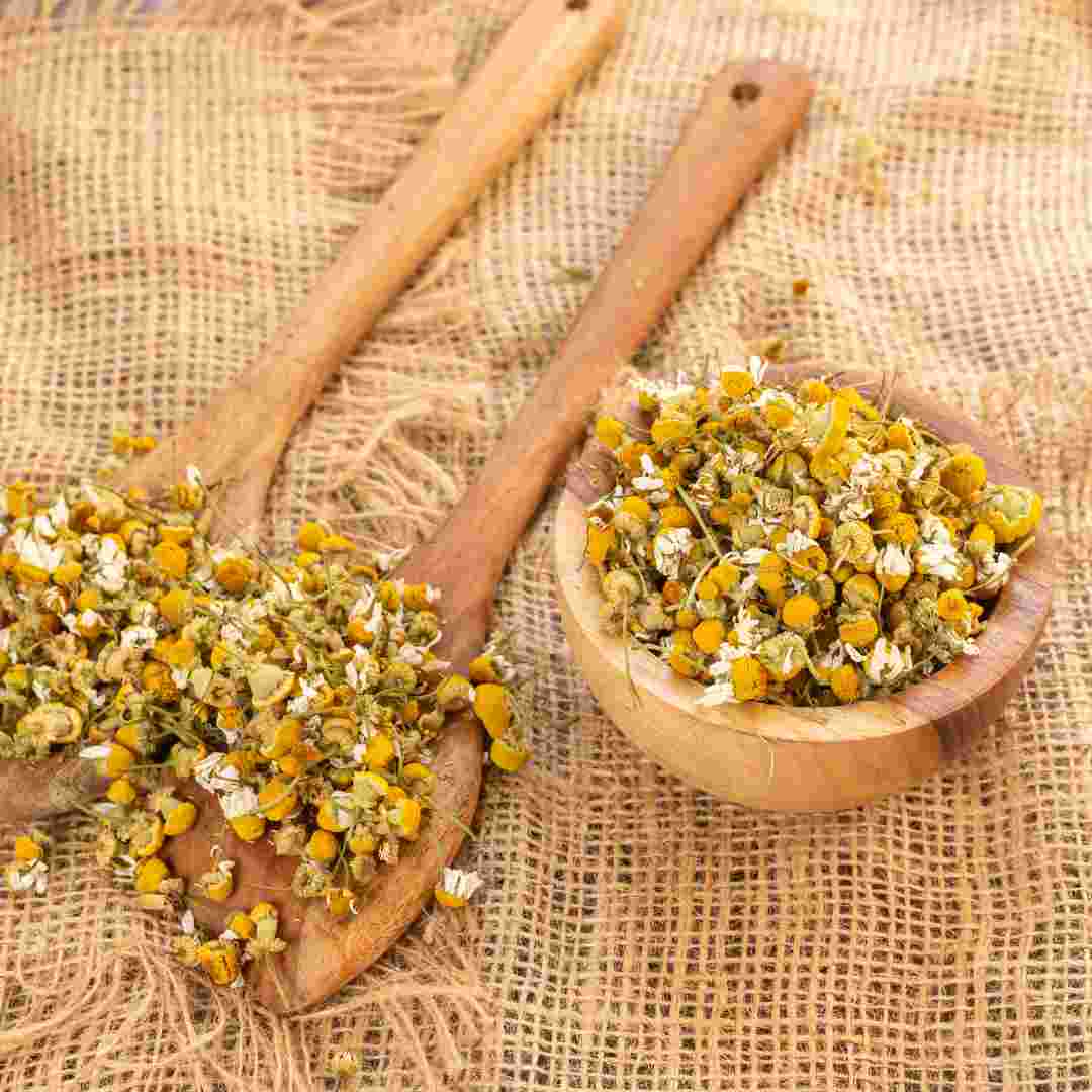 Chamomile