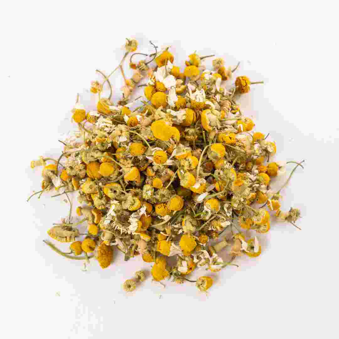 Seeds