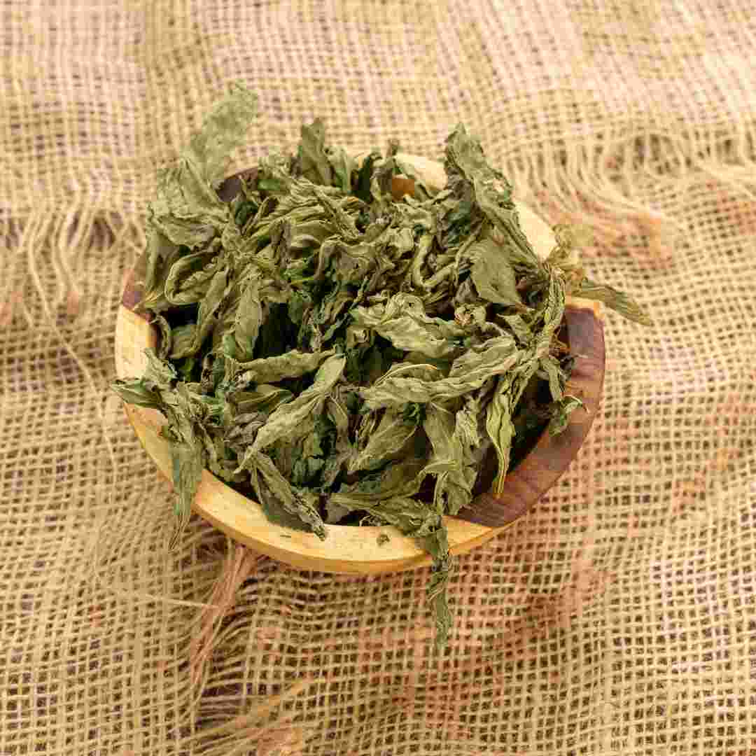 Molokhia