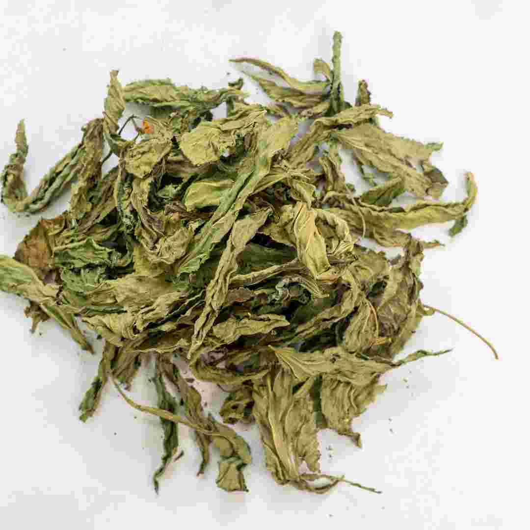 Seeds