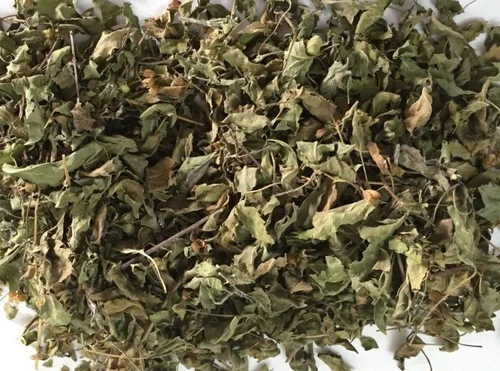 Olive leaves