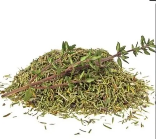Seeds