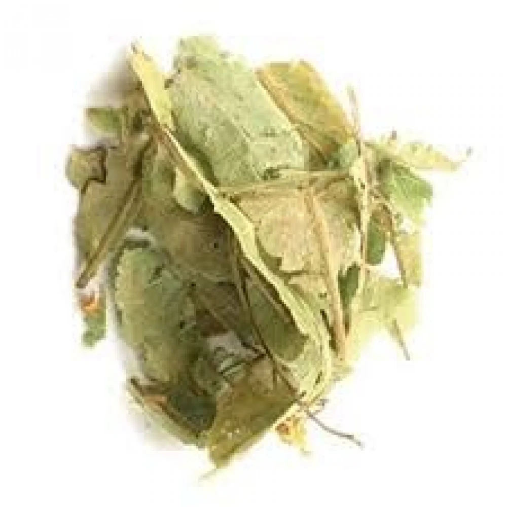 Seeds
