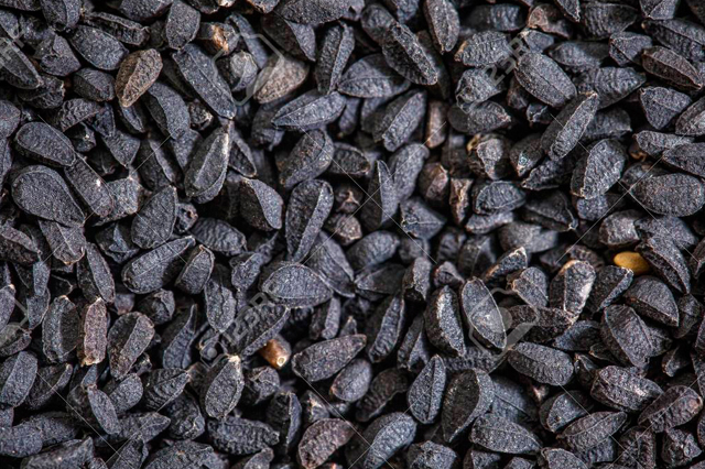 NigellaSativa Seeds