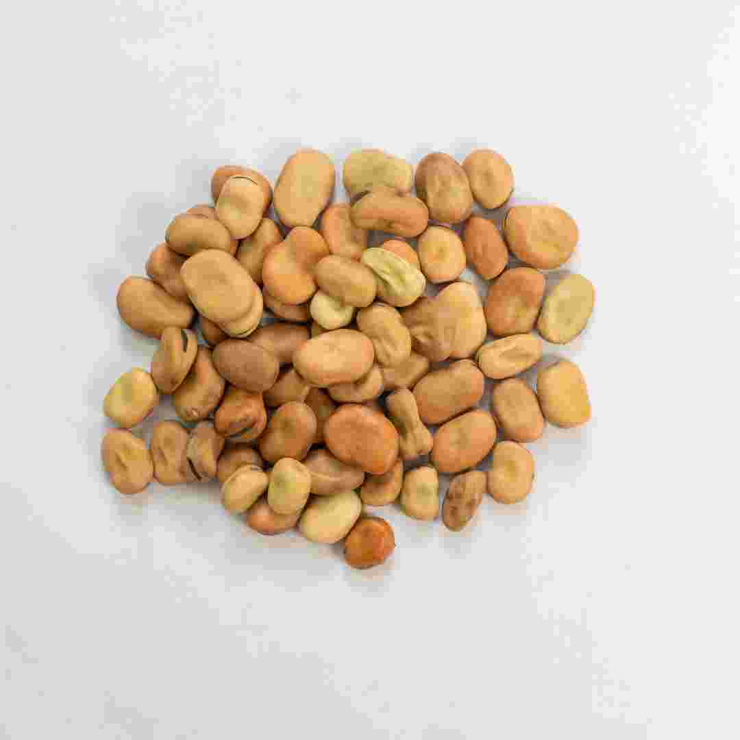Seeds