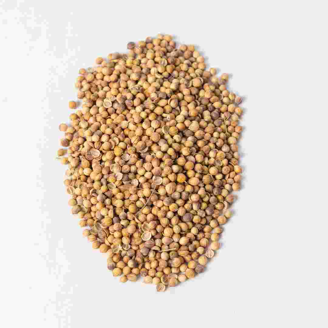 Seeds