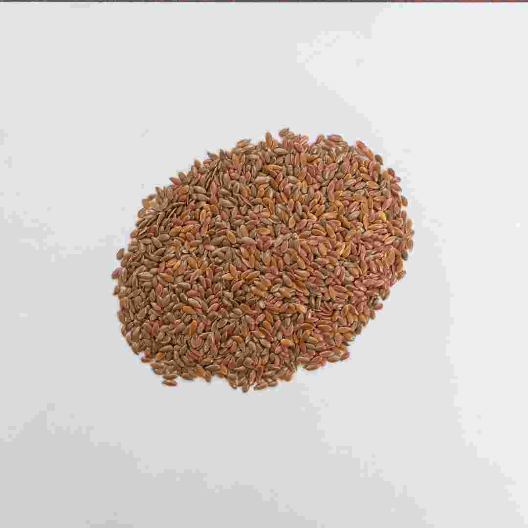 Seeds