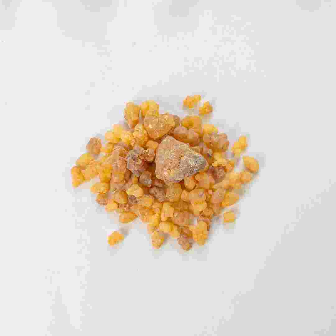 Seeds