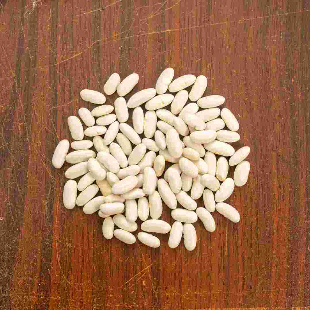 White Beans Seeds